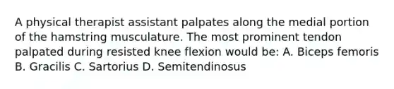 A physical therapist assistant palpates along the medial portion of the hamstring musculature. The most prominent tendon palpated during resisted knee flexion would be: A. Biceps femoris B. Gracilis C. Sartorius D. Semitendinosus