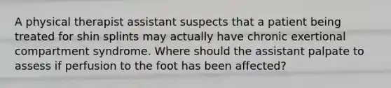 A physical therapist assistant suspects that a patient being treated for shin splints may actually have chronic exertional compartment syndrome. Where should the assistant palpate to assess if perfusion to the foot has been affected?