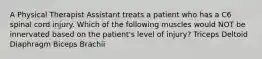 A Physical Therapist Assistant treats a patient who has a C6 spinal cord injury. Which of the following muscles would NOT be innervated based on the patient's level of injury? Triceps Deltoid Diaphragm Biceps Brachii