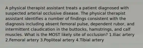 A physical therapist assistant treats a patient diagnosed with suspected arterial occlusive disease. The physical therapist assistant identifies a number of findings consistent with the diagnosis including absent femoral pulse, dependent rubor, and intermittent claudication in the buttocks, hamstrings, and calf muscles. What is the MOST likely site of occlusion? 1.Iliac artery 2.Femoral artery 3.Popliteal artery 4.Tibial artery