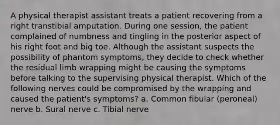 A physical therapist assistant treats a patient recovering from a right transtibial amputation. During one session, the patient complained of numbness and tingling in the posterior aspect of his right foot and big toe. Although the assistant suspects the possibility of phantom symptoms, they decide to check whether the residual limb wrapping might be causing the symptoms before talking to the supervising physical therapist. Which of the following nerves could be compromised by the wrapping and caused the patient's symptoms? a. Common fibular (peroneal) nerve b. Sural nerve c. Tibial nerve