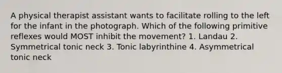 A physical therapist assistant wants to facilitate rolling to the left for the infant in the photograph. Which of the following primitive reflexes would MOST inhibit the movement? 1. Landau 2. Symmetrical tonic neck 3. Tonic labyrinthine 4. Asymmetrical tonic neck