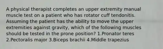 A physical therapist completes an upper extremity manual muscle test on a patient who has rotator cuff tendonitis. Assuming the patient has the ability to move the upper extremities against gravity, which of the following muscles should be tested in the prone position? 1.Pronator teres 2.Pectoralis major 3.Biceps brachii 4.Middle trapezius