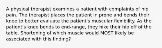 A physical therapist examines a patient with complaints of hip pain. The therapist places the patient in prone and bends their knee to better evaluate the patient's muscular flexibility. As the patient's knee bends to end-range, they hike their hip off of the table. Shortening of which muscle would MOST likely be associated with this finding?