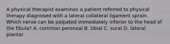 A physical therapist examines a patient referred to physical therapy diagnosed with a lateral collateral ligament sprain. Which nerve can be palpated immediately inferior to the head of the fibula? A. common peroneal B. tibial C. sural D. lateral plantar