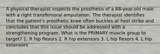 A physical therapist inspects the prosthesis of a 68-year-old male with a right transfemoral amputation. The therapist identifies that the patient's prosthetic knee often buckles at heel strike and concludes that this issue should be addressed with a strengthening program. What is the PRIMARY muscle group to target? 1. R hip flexors 2. R hip extensors 3. L hip flexors 4. L hip extensors