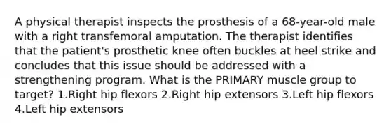 A physical therapist inspects the prosthesis of a 68-year-old male with a right transfemoral amputation. The therapist identifies that the patient's prosthetic knee often buckles at heel strike and concludes that this issue should be addressed with a strengthening program. What is the PRIMARY muscle group to target? 1.Right hip flexors 2.Right hip extensors 3.Left hip flexors 4.Left hip extensors