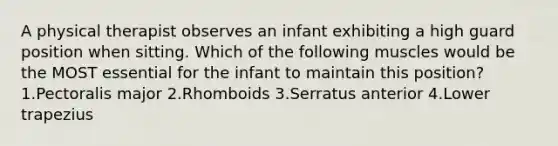 A physical therapist observes an infant exhibiting a high guard position when sitting. Which of the following muscles would be the MOST essential for the infant to maintain this position? 1.Pectoralis major 2.Rhomboids 3.Serratus anterior 4.Lower trapezius