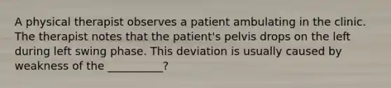 A physical therapist observes a patient ambulating in the clinic. The therapist notes that the patient's pelvis drops on the left during left swing phase. This deviation is usually caused by weakness of the __________?