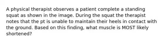 A physical therapist observes a patient complete a standing squat as shown in the image. During the squat the therapist notes that the pt is unable to maintain their heels in contact with the ground. Based on this finding, what muscle is MOST likely shortened?