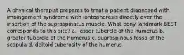 A physical therapist prepares to treat a patient diagnosed with impingement syndrome with iontophoresis directly over the insertion of the supraspinatus muscle. What bony landmark BEST corresponds to this site? a. lesser tubercle of the humerus b. greater tubercle of the humerus c. supraspinous fossa of the scapula d. deltoid tuberosity of the humerus