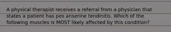 A physical therapist receives a referral from a physician that states a patient has pes anserine tendinitis. Which of the following muscles is MOST likely affected by this condition?