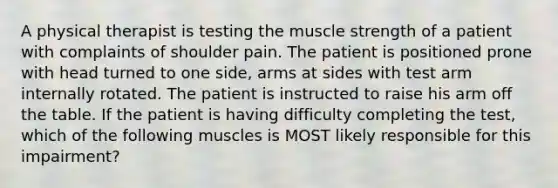 A physical therapist is testing the muscle strength of a patient with complaints of shoulder pain. The patient is positioned prone with head turned to one side, arms at sides with test arm internally rotated. The patient is instructed to raise his arm off the table. If the patient is having difficulty completing the test, which of the following muscles is MOST likely responsible for this impairment?