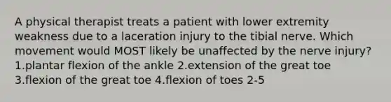 A physical therapist treats a patient with lower extremity weakness due to a laceration injury to the tibial nerve. Which movement would MOST likely be unaffected by the nerve injury? 1.plantar flexion of the ankle 2.extension of the great toe 3.flexion of the great toe 4.flexion of toes 2-5