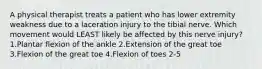 A physical therapist treats a patient who has lower extremity weakness due to a laceration injury to the tibial nerve. Which movement would LEAST likely be affected by this nerve injury? 1.Plantar flexion of the ankle 2.Extension of the great toe 3.Flexion of the great toe 4.Flexion of toes 2-5