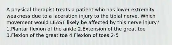 A physical therapist treats a patient who has lower extremity weakness due to a laceration injury to the tibial nerve. Which movement would LEAST likely be affected by this nerve injury? 1.Plantar flexion of the ankle 2.Extension of the great toe 3.Flexion of the great toe 4.Flexion of toes 2-5