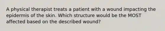 A physical therapist treats a patient with a wound impacting the epidermis of the skin. Which structure would be the MOST affected based on the described wound?