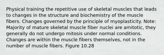 Physical training the repetitive use of skeletal muscles that leads to changes in the structure and biochemistry of the muscle fibers. Changes governed by the principle of myoplasticity. Note: Majority of mature skeletal muscle fiber nuclei are amitotic, they generally do not undergo mitosis under normal conditions. Changes are within the muscle fibers themselves, not in the number of muscle fibers. Figure 10.28