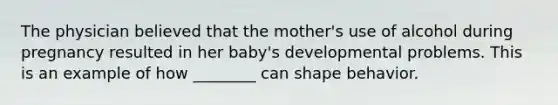 The physician believed that the mother's use of alcohol during pregnancy resulted in her baby's developmental problems. This is an example of how ________ can shape behavior.