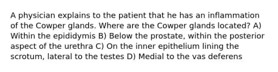 A physician explains to the patient that he has an inflammation of the Cowper glands. Where are the Cowper glands located? A) Within the epididymis B) Below the prostate, within the posterior aspect of the urethra C) On the inner epithelium lining the scrotum, lateral to the testes D) Medial to the vas deferens