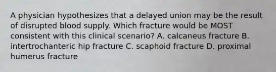 A physician hypothesizes that a delayed union may be the result of disrupted blood supply. Which fracture would be MOST consistent with this clinical scenario? A. calcaneus fracture B. intertrochanteric hip fracture C. scaphoid fracture D. proximal humerus fracture