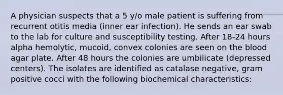 A physician suspects that a 5 y/o male patient is suffering from recurrent otitis media (inner ear infection). He sends an ear swab to the lab for culture and susceptibility testing. After 18-24 hours alpha hemolytic, mucoid, convex colonies are seen on <a href='https://www.questionai.com/knowledge/k7oXMfj7lk-the-blood' class='anchor-knowledge'>the blood</a> agar plate. After 48 hours the colonies are umbilicate (depressed centers). The isolates are identified as catalase negative, gram positive cocci with the following biochemical characteristics: