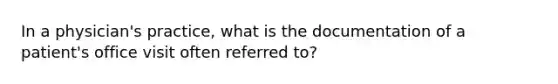 In a physician's practice, what is the documentation of a patient's office visit often referred to?