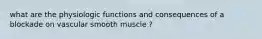 what are the physiologic functions and consequences of a blockade on vascular smooth muscle ?