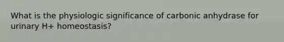 What is the physiologic significance of carbonic anhydrase for urinary H+ homeostasis?