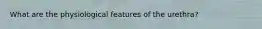 What are the physiological features of the urethra?