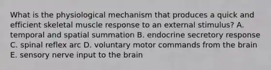 What is the physiological mechanism that produces a quick and efficient skeletal muscle response to an external stimulus? A. temporal and spatial summation B. endocrine secretory response C. spinal reflex arc D. voluntary motor commands from the brain E. sensory nerve input to the brain