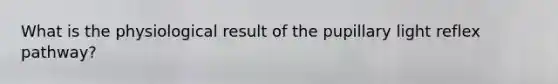 What is the physiological result of the pupillary light reflex pathway?