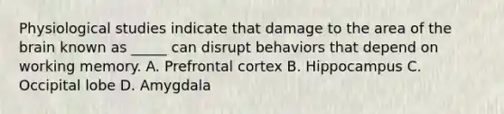 Physiological studies indicate that damage to the area of the brain known as _____ can disrupt behaviors that depend on working memory. A. Prefrontal cortex B. Hippocampus C. Occipital lobe D. Amygdala