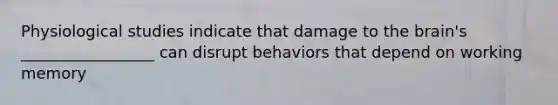 Physiological studies indicate that damage to the brain's _________________ can disrupt behaviors that depend on working memory