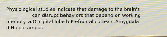 Physiological studies indicate that damage to the brain's ___________can disrupt behaviors that depend on working memory. a.Occipital lobe b.Prefrontal cortex c.Amygdala d.Hippocampus