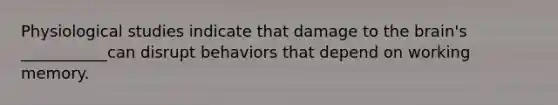 Physiological studies indicate that damage to the brain's ___________can disrupt behaviors that depend on working memory.