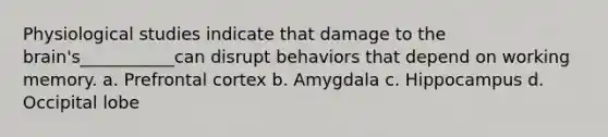 Physiological studies indicate that damage to the brain's___________can disrupt behaviors that depend on working memory. a. Prefrontal cortex b. Amygdala c. Hippocampus d. Occipital lobe