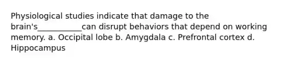 Physiological studies indicate that damage to the brain's___________can disrupt behaviors that depend on working memory. a. Occipital lobe b. Amygdala c. Prefrontal cortex d. Hippocampus