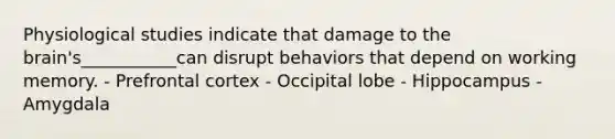 Physiological studies indicate that damage to the brain's___________can disrupt behaviors that depend on working memory. - Prefrontal cortex - Occipital lobe - Hippocampus - Amygdala