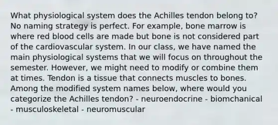 What physiological system does the Achilles tendon belong to? No naming strategy is perfect. For example, bone marrow is where red blood cells are made but bone is not considered part of the cardiovascular system. In our class, we have named the main physiological systems that we will focus on throughout the semester. However, we might need to modify or combine them at times. Tendon is a tissue that connects muscles to bones. Among the modified system names below, where would you categorize the Achilles tendon? - neuroendocrine - biomchanical - musculoskeletal - neuromuscular