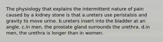 The physiology that explains the intermittent nature of pain caused by a kidney stone is that a.ureters use peristalsis and gravity to move urine. b.ureters insert into the bladder at an angle. c.in men, the prostate gland surrounds the urethra. d.in men, the urethra is longer than in women.