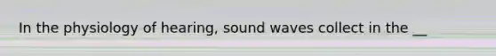 In the physiology of hearing, sound waves collect in the __