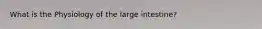 What is the Physiology of the large intestine?