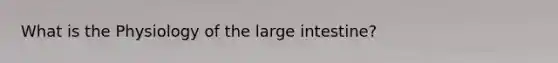 What is the Physiology of the large intestine?