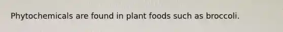 Phytochemicals are found in plant foods such as broccoli.