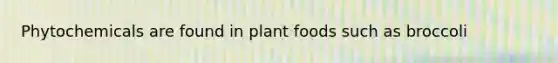 Phytochemicals are found in plant foods such as broccoli