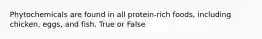 Phytochemicals are found in all protein-rich foods, including chicken, eggs, and fish. True or False