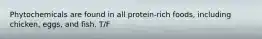 Phytochemicals are found in all protein-rich foods, including chicken, eggs, and fish. T/F