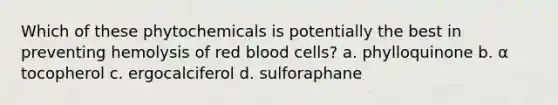 Which of these phytochemicals is potentially the best in preventing hemolysis of red blood cells? a. phylloquinone b. α tocopherol c. ergocalciferol d. sulforaphane