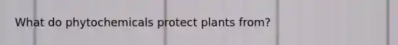 What do phytochemicals protect plants from?